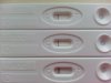20131004_140401.jpg