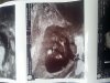 353455d1381048291t-jongen-20131005_150936.jpeg
