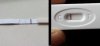test.JPG