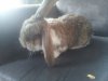 20130323_180856.jpg