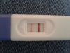 12 dpo.jpg