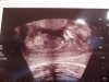 12w5d (4).jpg