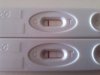 IMG_20131022_115226.jpg