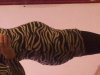 20131023_182951.jpg