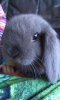 2013-10-23 16.19.50.jpg