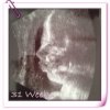 Giulia 24okt - 31 weeks.jpg
