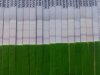 20131024_135333.jpg