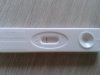 20131029_112723.jpg