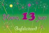13 jaar.jpg