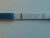 20131108_075606.jpg