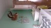 20131102_135236.jpg