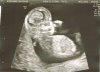 Baby 7.jpg