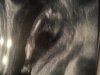 20131114_191828.jpg