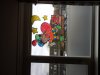 20131123_100945.jpg