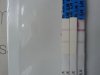 20131123_112635.jpg