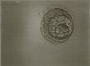 Scan-DD-25-11-2013.jpg
