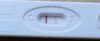 h.jpg