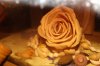 DSCF8592.jpg