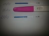 20131128_155852.jpg