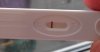 test1121.jpg