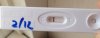 test2121.jpg