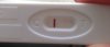 test31213.jpg