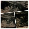 PhotoGrid_1386354848605.jpg