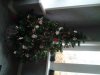 20131207_133502.jpg
