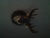 20131207_133623.jpg