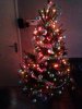 Kerstboom 2013.jpg