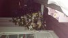 20131207_174437.jpg