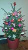 20131207_214750-1-1.jpg
