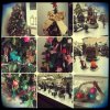 collage_20131208125258092.jpg