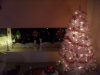SDC11430.jpg