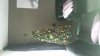 20131207_140441.jpg