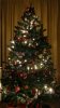IMG_20131208_200827.jpg