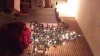 SVANEEKS - WIN_20131210_205717.jpg