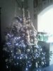x-mas tree.jpg