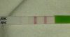 IMAG2344-1-1.jpg