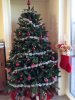 2013-12-11 14.59.55.jpg
