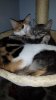 20130919_191917.jpg