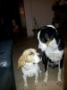 IMG-20111114-WA0001.jpg