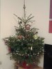 20131213_162217-1.jpg