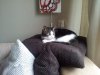 20120531_121559.jpg