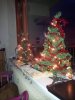 kerstbomen.jpg