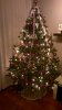 kerstboom.jpg