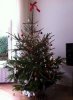foto(9).jpg