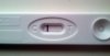 CAM00838.jpg