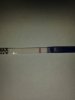 12dpo 003.jpg