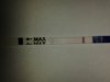 12dpo 004.jpg
